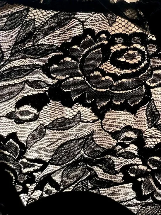 Rare: Vintage Christian Dior Black Lace + Chiffon Rose Detail Bustier - Size 34B - Picture 6 of 11